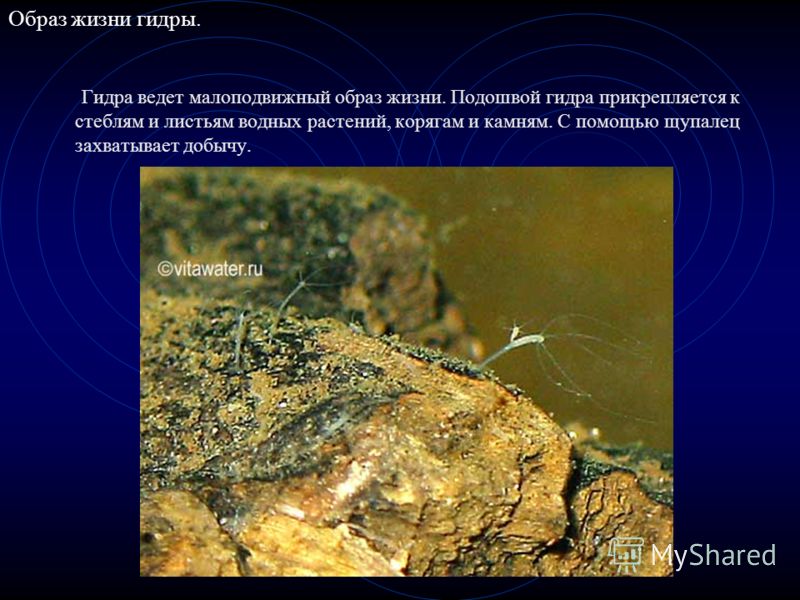 Кракен маркетплейс ссылка krakenat2krnkrnk com